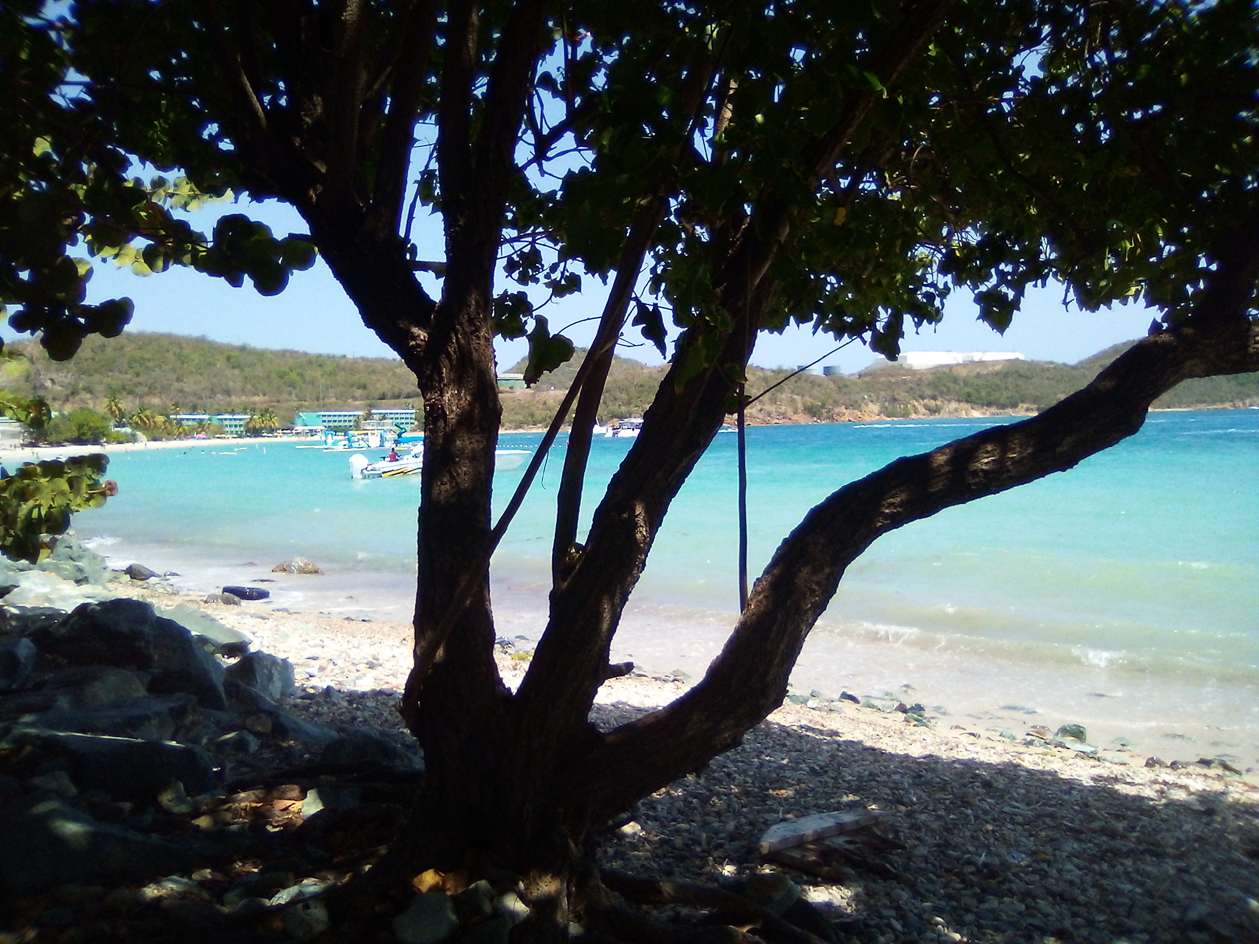 Senate Blocks Out Week for Direct Constituent Work in Mid-April