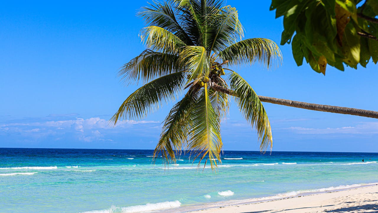 St. Thomas Businesses Chart Course for Youth Sailing Growth