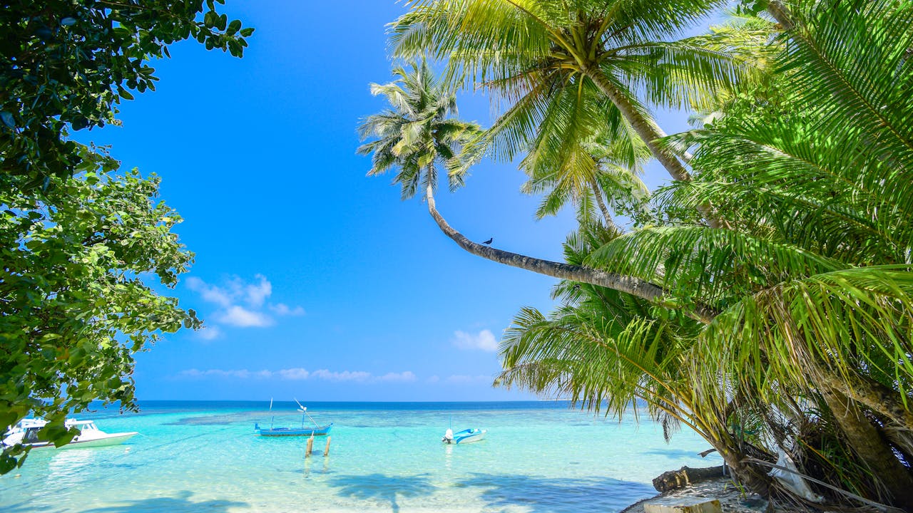 UVI Urges Community to Balance Carnival Joy With Academic Momentum as Spring Semester Winds Down