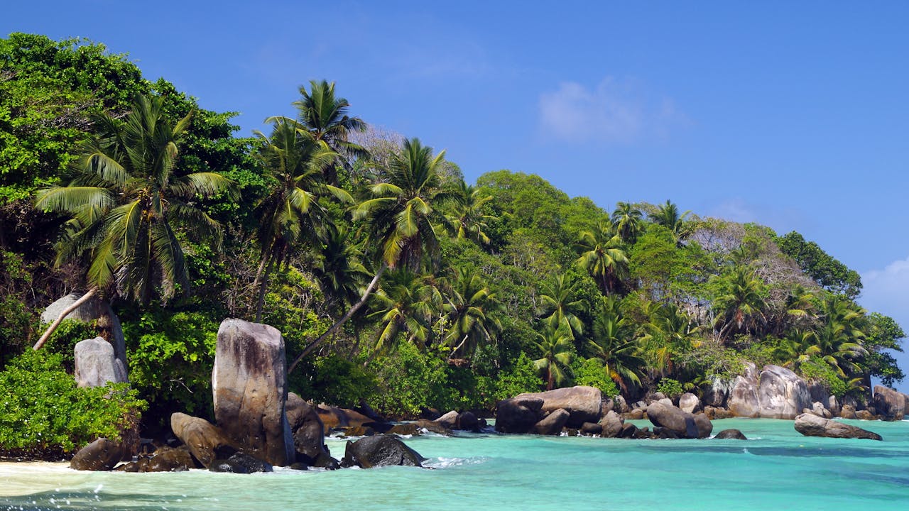 Alumni-Led Health Screenings Shed Light on Student Wellness Trends in St. Thomas