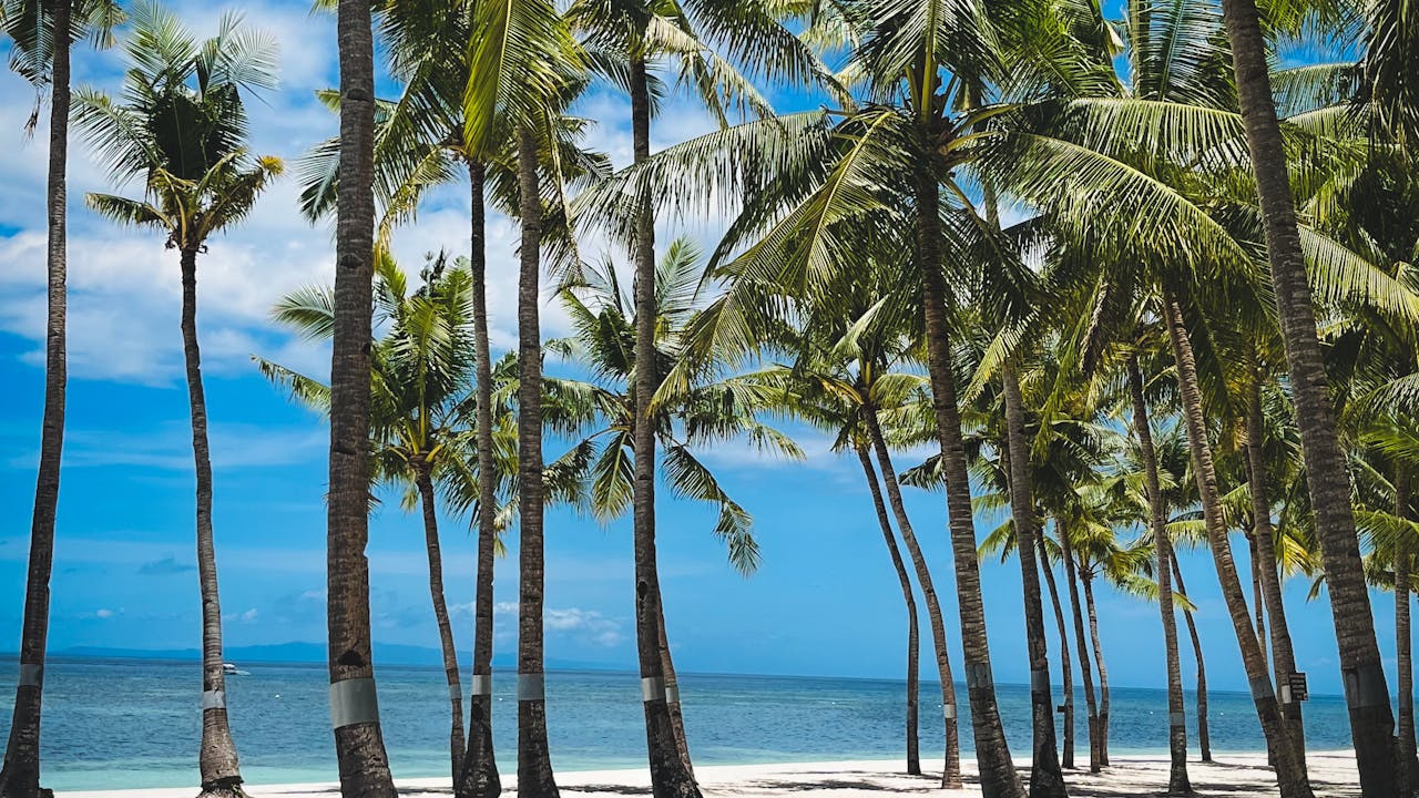 UVI Graduates Carry Island Values Across the Globe, Fueling USVI Progress